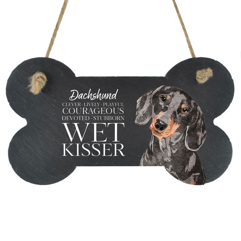 Vivid Squid Wholesale Animals Box Signs & Plaques