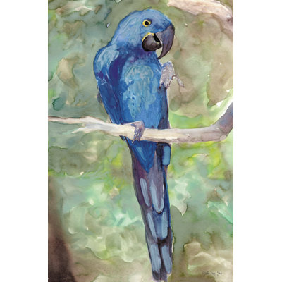 «Blue Parrot» par Stellar Design Studio - impression