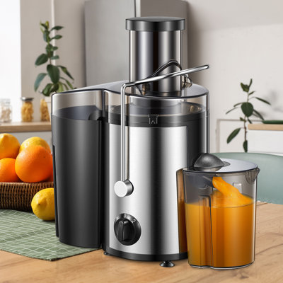 Centrifugeuse 500W, en acier inoxydable et sans BPA - Large goulotte d'alimentation de 3 po pour fruits et légumes entiers, facile à nettoyer