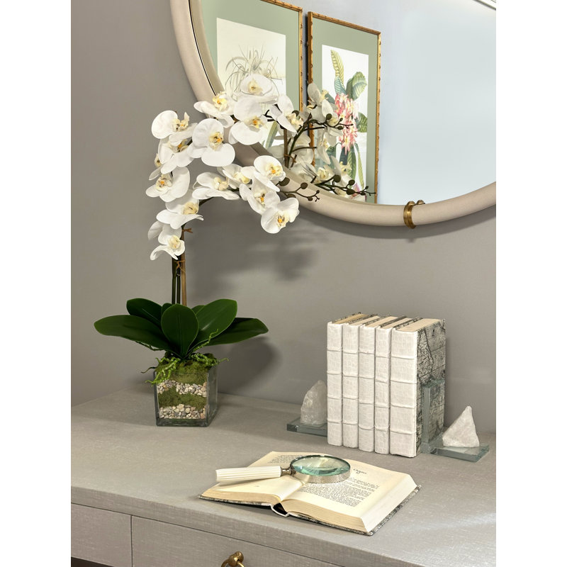 Primrue Phalaenopsis Orchid Floral Arrangement in Vase | Wayfair