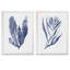 "Seaweed Under Water III" - ensemble de 2 reproductions d'art-1089807161-1161576878-1089807162