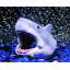 Ensemble d'ornement 2 pièces Jaws