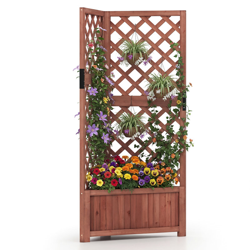 140cm H x 50cm W Wood Lattice Panel Trellis, Brown
