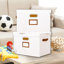 Ebern Designs Decorative Bin-198580036-198580037