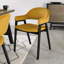 Camden Upholstered Back Armchair-92158720