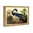 " Louisiana Heron "-63582452-63582458-119891342