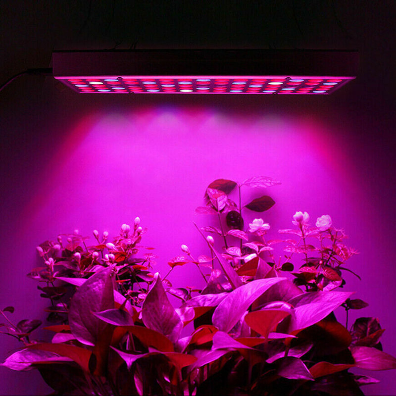 HALLOLURE Grow Light
