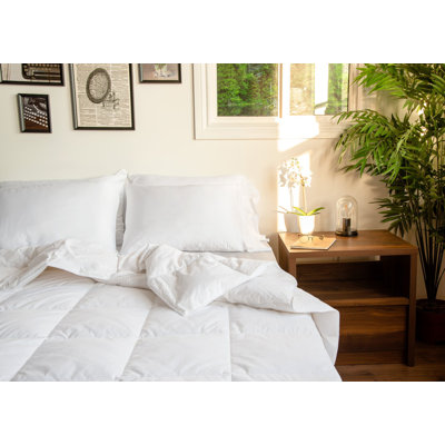 Édredon en duvet toutes saisons