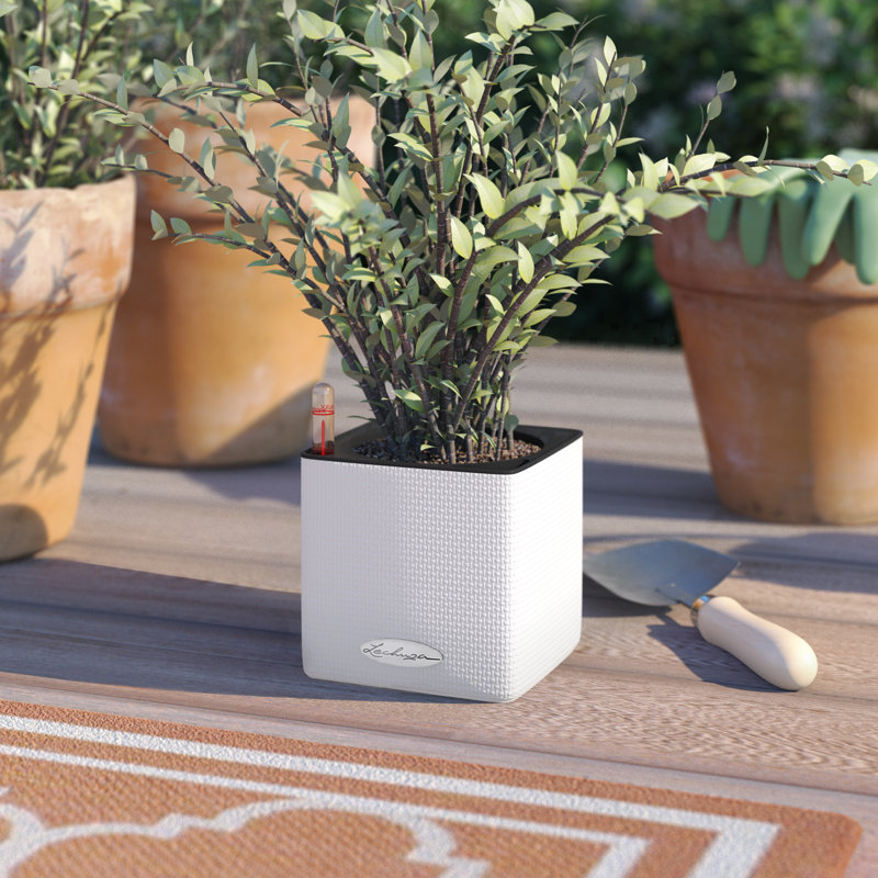Cube Pot Planter, White