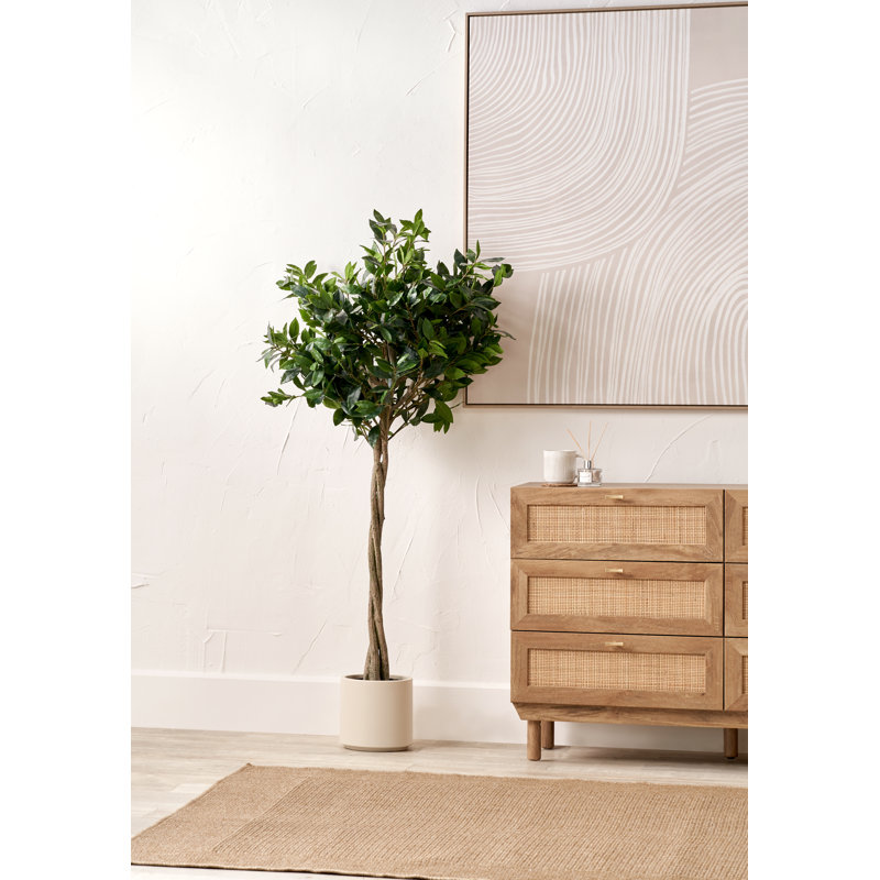 150cm Faux Plant in Cement Pot
