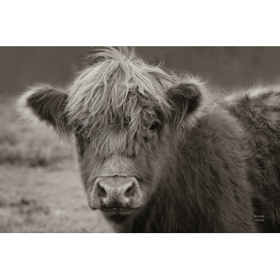 " Highland Cow Do Neutral "