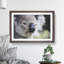 Koala Bear Vol.2 - Framed Print-62758510-62758512