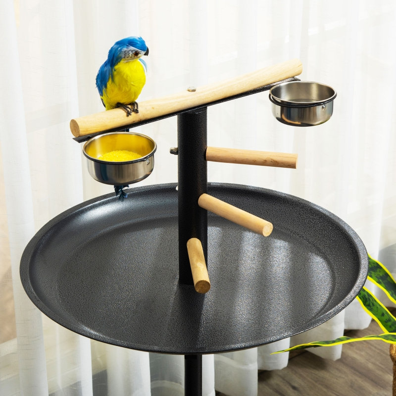 Snouff 111cm Steel Bird Play Stand for Floor