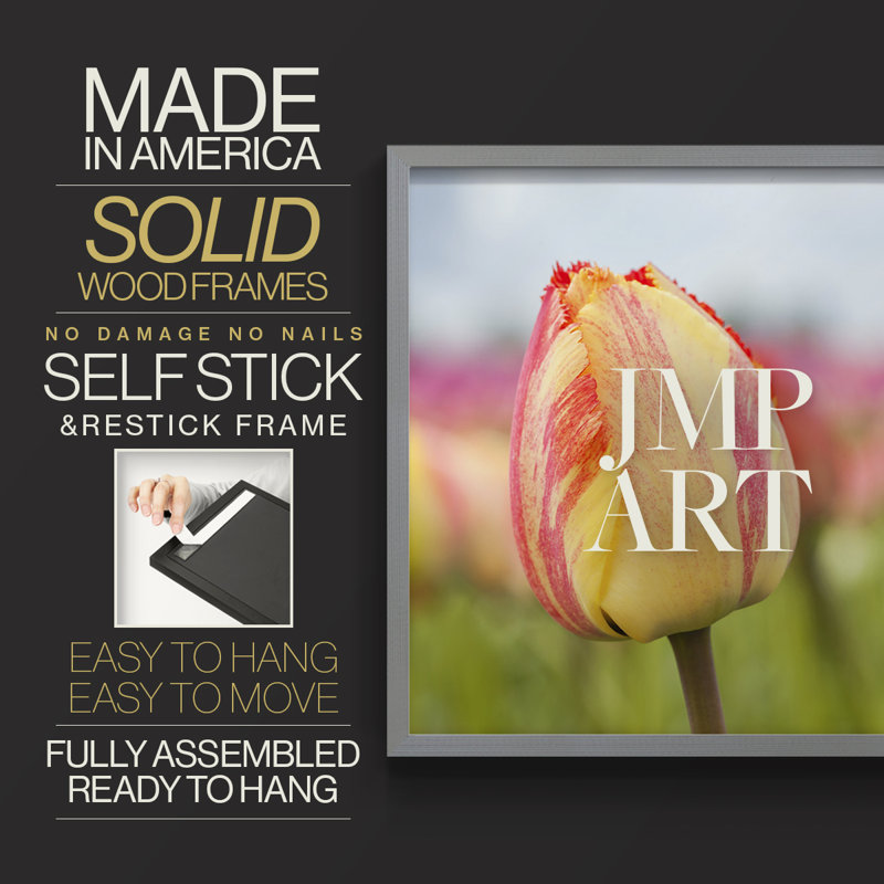 Spring Sherbet -Framed Print - Restickable, 22" H x 28" W, Grey