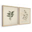 «Vintage Floral XIX», estampe numérique encadrée - ensemble de 2-1998867499-1998867502