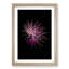 Pink & Purple Fireworks in Abstract - Framed Print-55768803-55768804