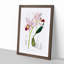 Pale Purple Cattleya Orchids - Framed Print-55578102-55578100