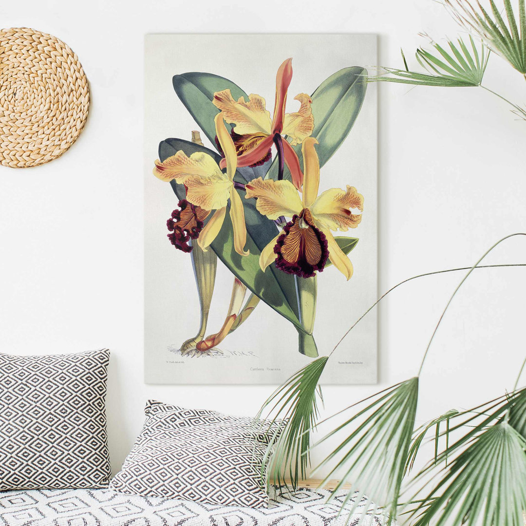 Leinwandbild Orchidee von Walter Hood Fitch