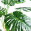 150Cm Artificial Monstera Tree in Pot