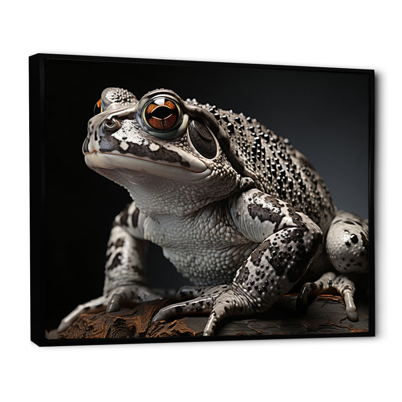 «Frog Portrait I», reproduction d'art sur toile, H 34 po x l 44 po, Cadre flottant noir