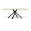 Jacobus Metal Base Dining Table