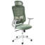 Office Chair with Headrest