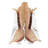 Natural Springbok Skin