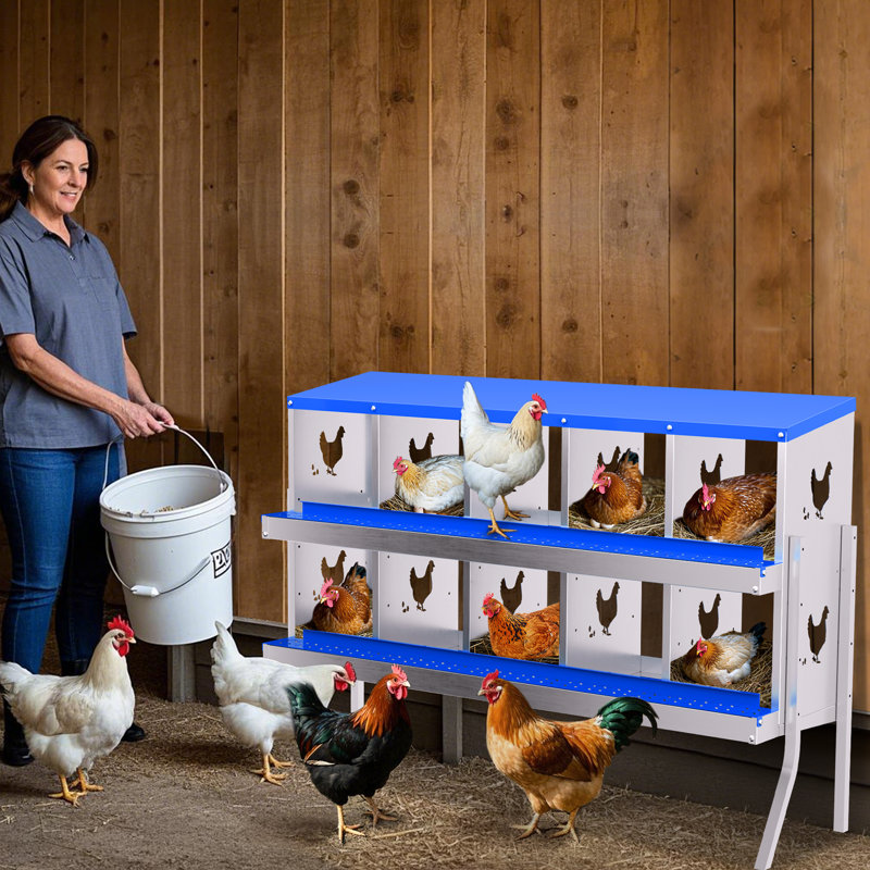 Boîte de nidification en métal pour poules pondeuses, H 35,24 po x l 53,54 po x P 16,93 po, Bleu