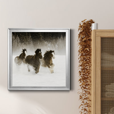 " Winter Roundup II "