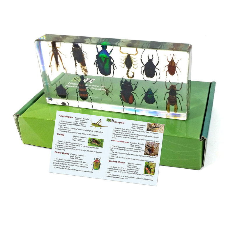 Raley Animals Figurines & Sculptures