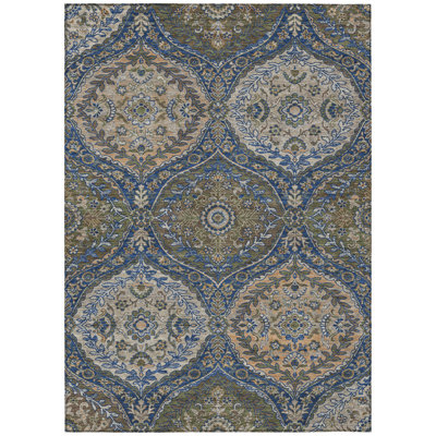 Machine Washable Indoor/Outdoor Chantille ACN2698 Global Rug