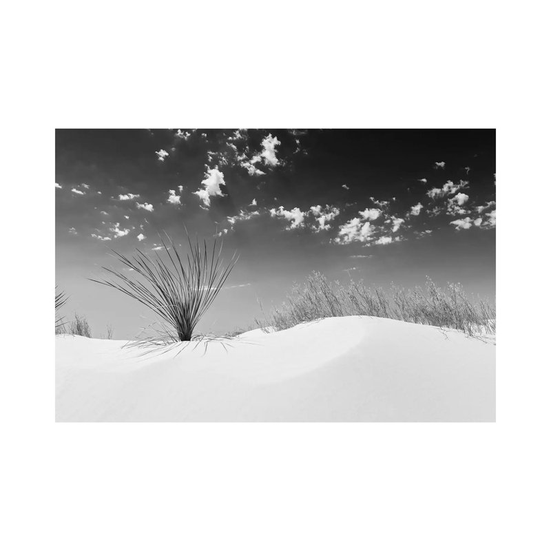 White Sands Minimalistic | Monochrome by Melanie Viola - Wrapped Canvas Print, 20.32 cm H x 30.48 cm W