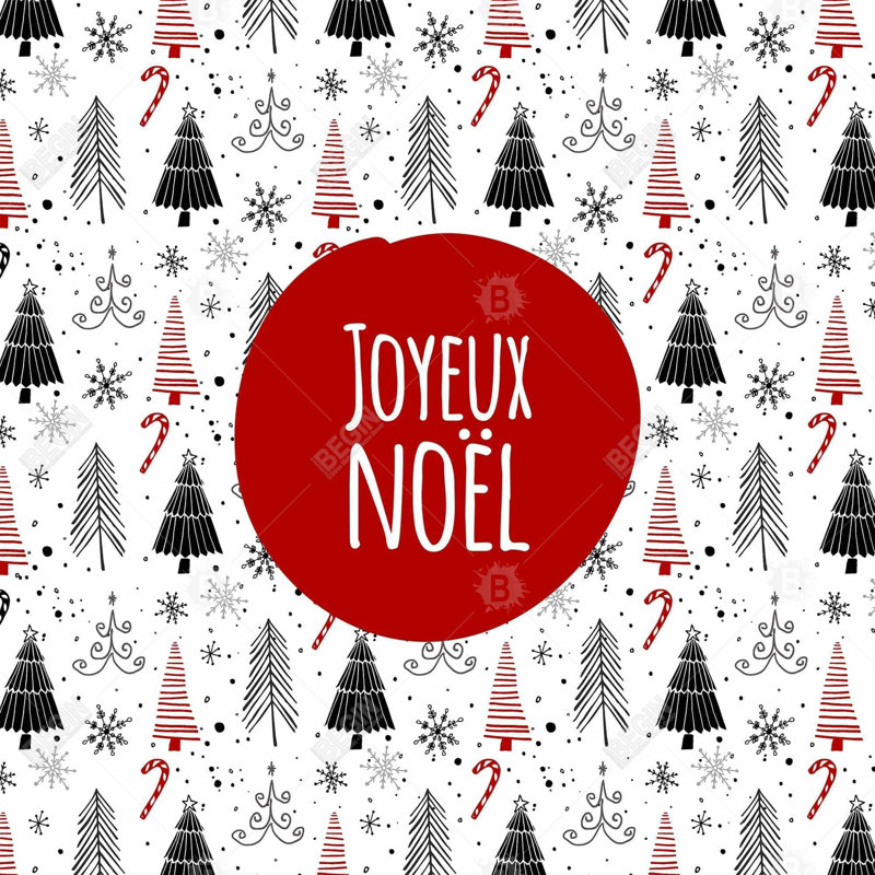 «Merry Christmas - Fr» sur toile