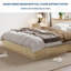Base de lit plateforme simple en bois, base de lit autoportante avec lattes de bois, aucun sommier requis, profil bas, pas de tête de lit, assemblage facile, pour les petites chambres à coucher, appartements, chêne-651848498-651848503