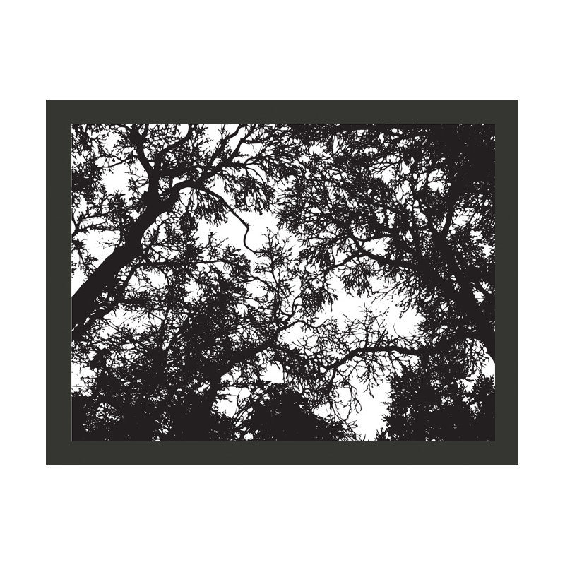 Bleak Forest 3.09m x 400cm Wallpaper, 200 cm x 154 cm
