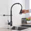 Belfry Kitchen Bublava Kitchen Faucet with Side Spray