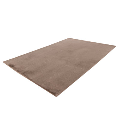Brijshwaer Solid Colour Area Rug