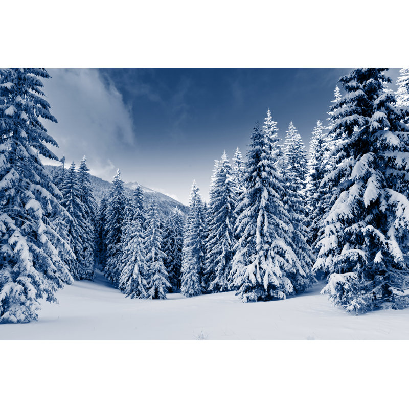 Winter by Leonid_tit - Wrapped Canvas Print, 30cm H x 46cm W x 3.8cm D