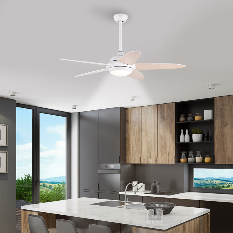 Ivy Bronx 52" Ceiling Fan With Light And Remote Control Indoor Modern Ceiling Fan With Quiet Reversible Etl Motor, White