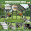 Grand enclos extérieur pour chat Catio