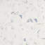 Calacatta Azur 2X2 Matte Porcelain Mosaic