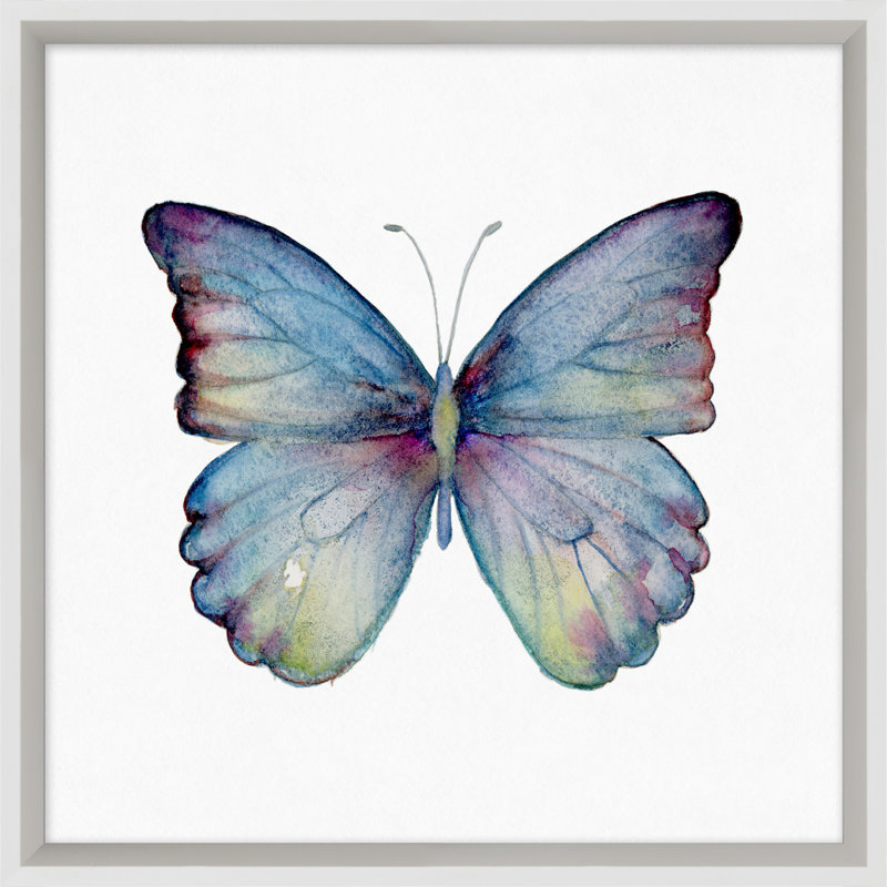 Butterfly Study 3' Framed Graphic Art Print on Glass