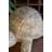  Faux Concrete Resin 9"H Turtle Figurine – Outdoor Garden Decor Accent – Yard Art
