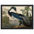 Audubon Birds Louisiana Blue Heron - Single Picture Frame Painting