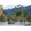 Housse pour chaise de patio Ayvion
