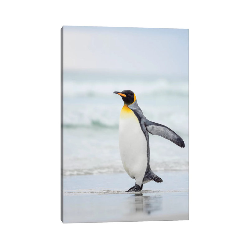 King Penguin On Falkland Islands. by Martin Zwick - Wrapped Canvas Gallery-Wrapped Canvas Giclée