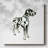 Canine Cameo II-Gallery Wrapped Canvas-1972027639