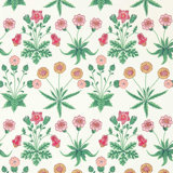 Daisy Wallpaper