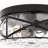 Alixandra 2-Light Flush Mount Glass Ceiling Light with Metal Frame-1621395360-1621395375
