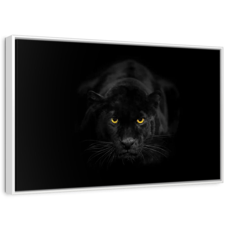 Rare panthère noire, Cadre flottant blanc, 43 po x 29 po